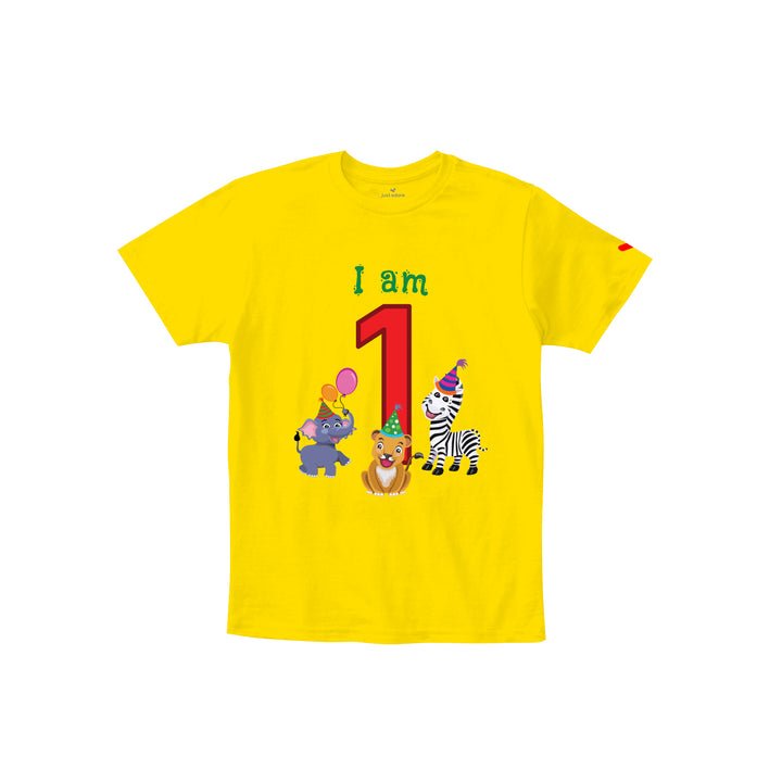 Birthday Celebration TShirts for Kids - Just Adore