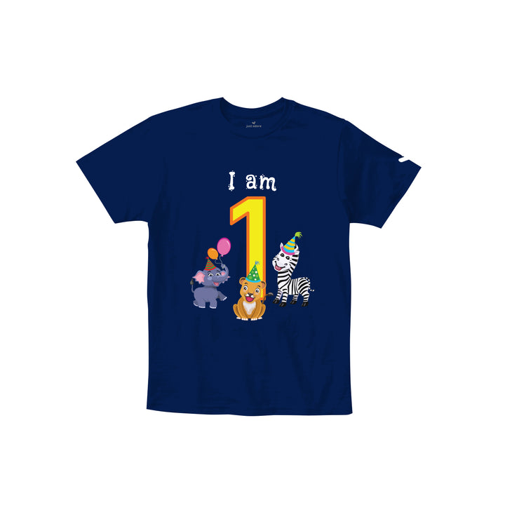 Birthday Celebration TShirts for Kids - Just Adore