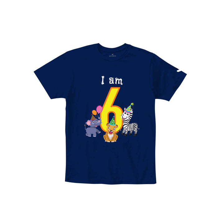 Birthday Celebration TShirts for Kids - Just Adore