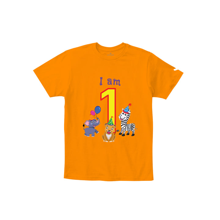 Birthday Celebration TShirts for Kids - Just Adore