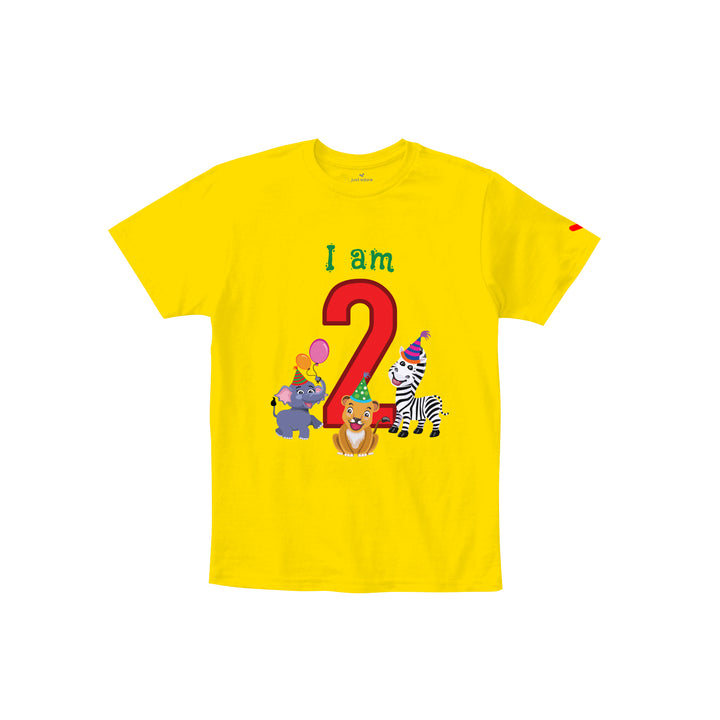 Birthday Celebration TShirts for Kids - Just Adore