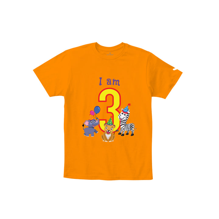 Birthday Celebration TShirts for Kids - Just Adore