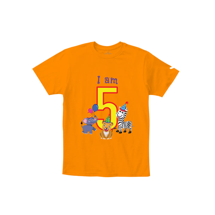 Birthday Celebration TShirts for Kids - Just Adore