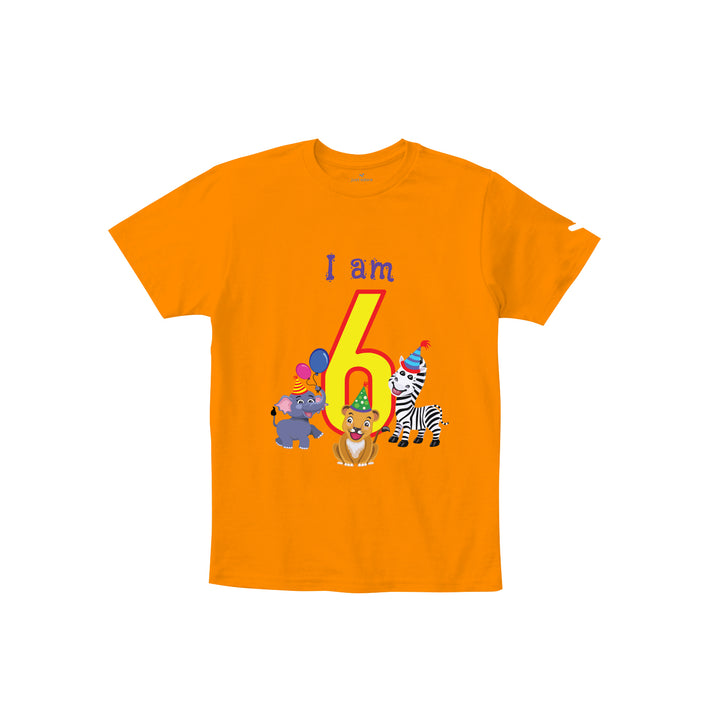 Birthday Celebration TShirts for Kids - Just Adore