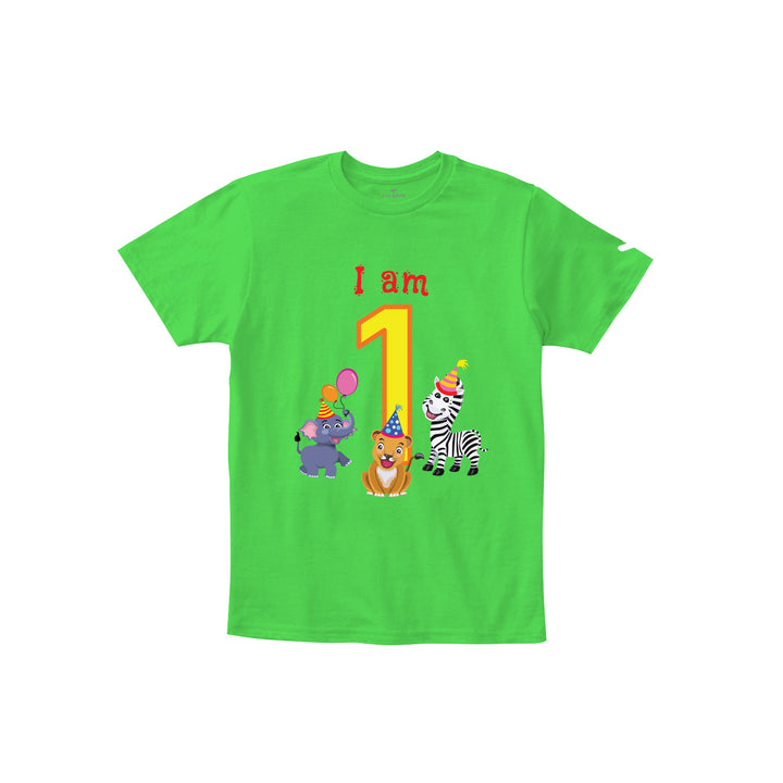 Birthday Celebration TShirts for Kids - Just Adore