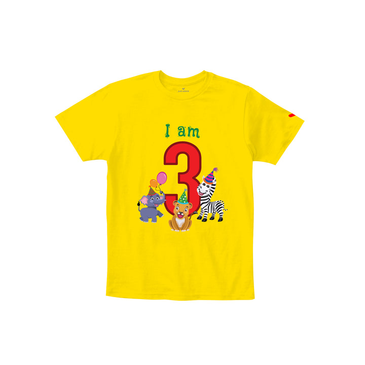 Birthday Celebration TShirts for Kids - Just Adore