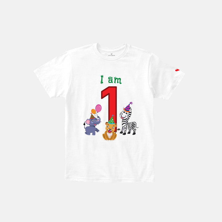 Birthday Celebration TShirts for Kids - Just Adore