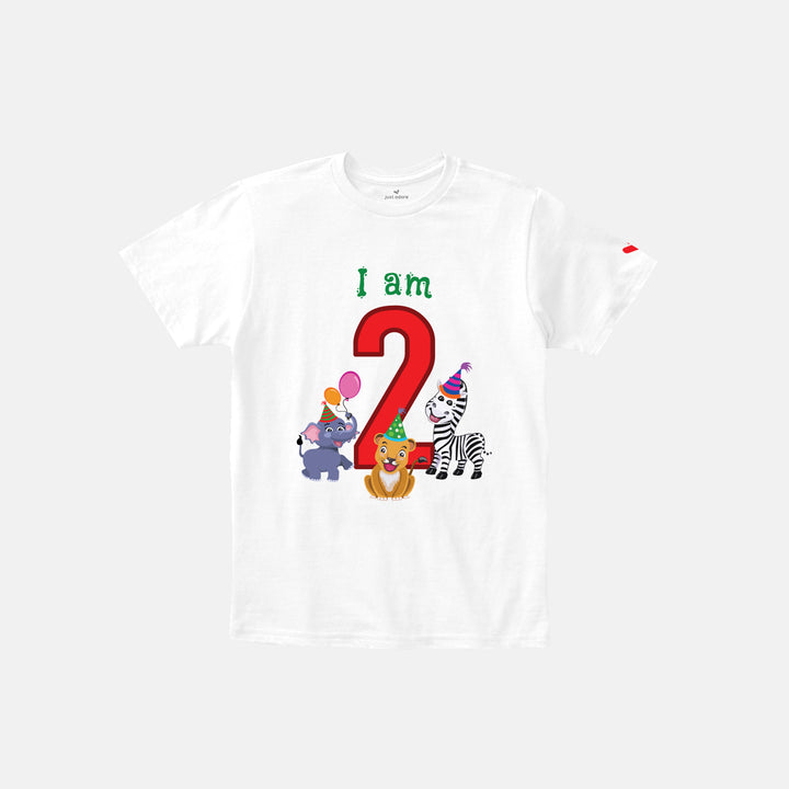 Birthday Celebration TShirts for Kids - Just Adore