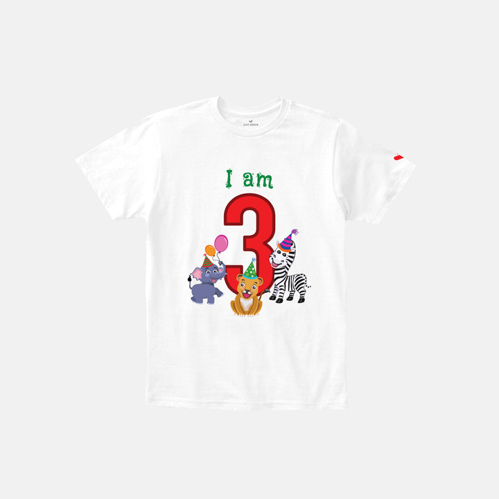 Birthday Celebration TShirts for Kids - Just Adore