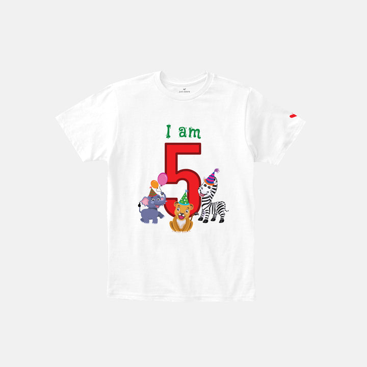 Birthday Celebration TShirts for Kids - Just Adore