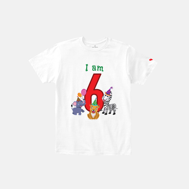 Birthday Celebration TShirts for Kids - Just Adore