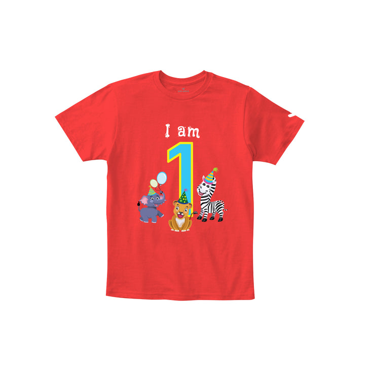 Birthday Celebration TShirts for Kids - Just Adore