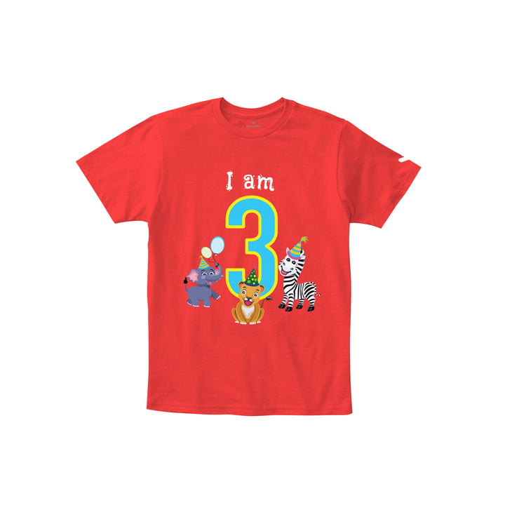 Birthday Celebration TShirts for Kids - Just Adore