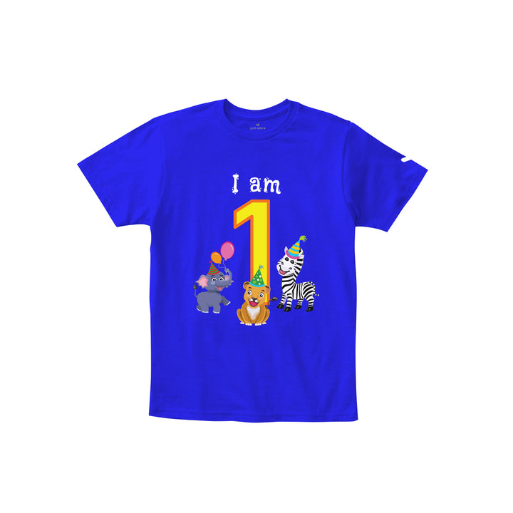 Birthday Celebration TShirts for Kids - Just Adore