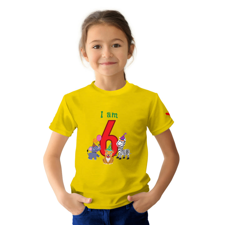 Birthday Celebration TShirts for Kids - Just Adore