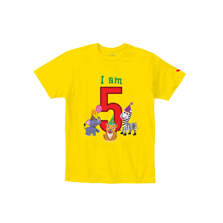 Birthday Celebration TShirts for Kids - Just Adore