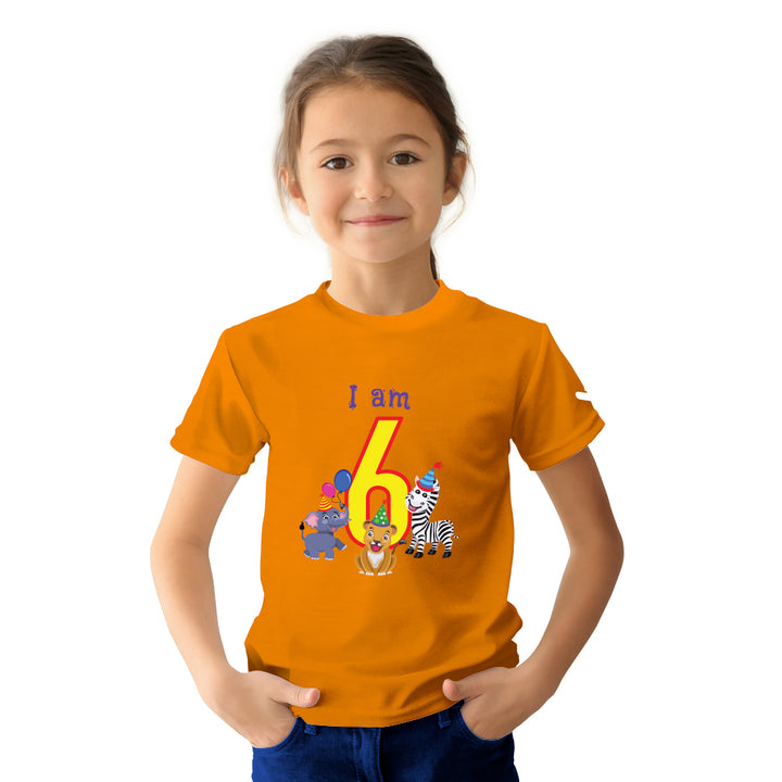 Birthday Celebration TShirts for Kids - Just Adore