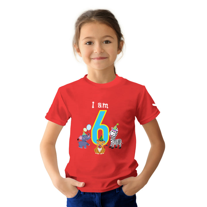 Birthday Celebration TShirts for Kids - Just Adore