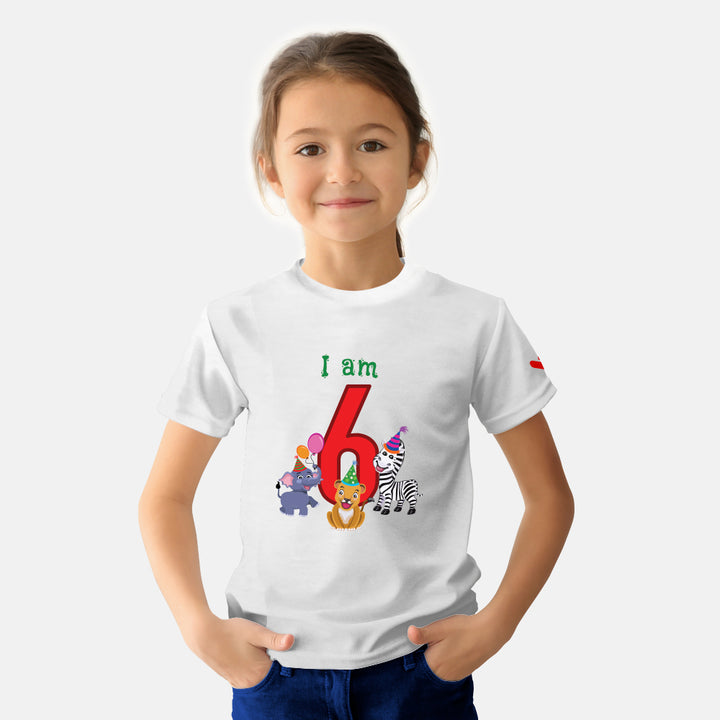 Birthday Celebration TShirts for Kids - Just Adore