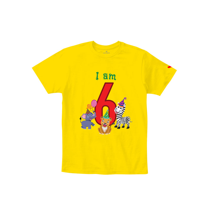 Birthday Celebration TShirts for Kids - Just Adore