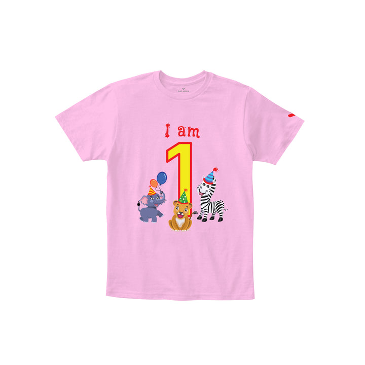 Birthday Celebration TShirts for Kids - Just Adore