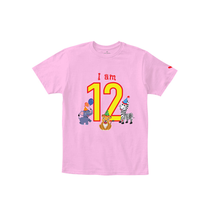 Birthday Celebration TShirts for Kids - Just Adore