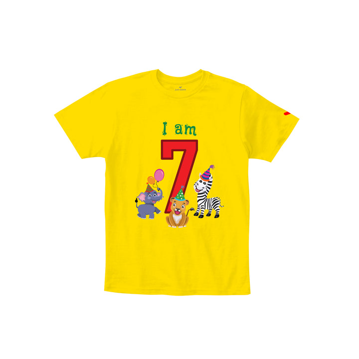 Birthday Celebration TShirts for Kids - Just Adore