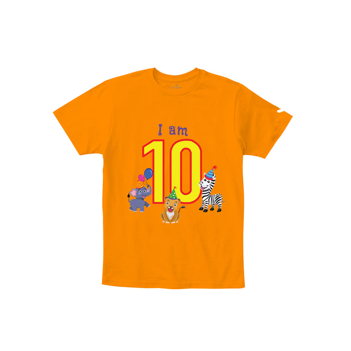 Birthday Celebration TShirts for Kids - Just Adore