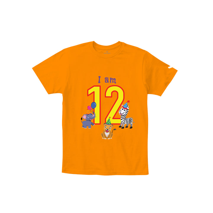 Birthday Celebration TShirts for Kids - Just Adore