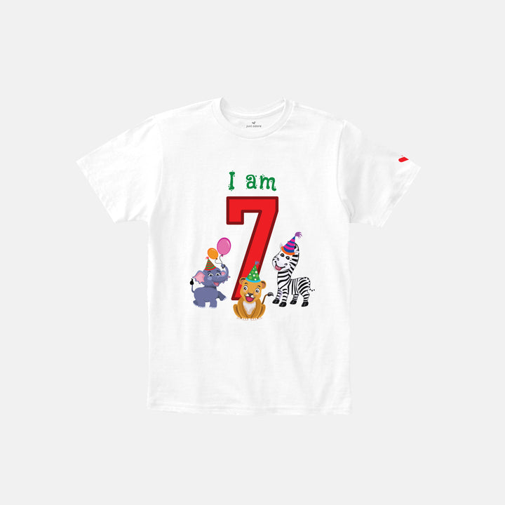 Birthday Celebration TShirts for Kids - Just Adore