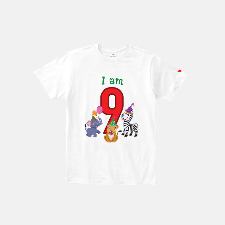 Birthday Celebration TShirts for Kids - Just Adore