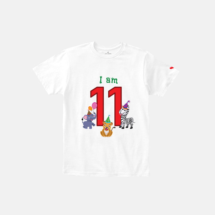 Birthday Celebration TShirts for Kids - Just Adore