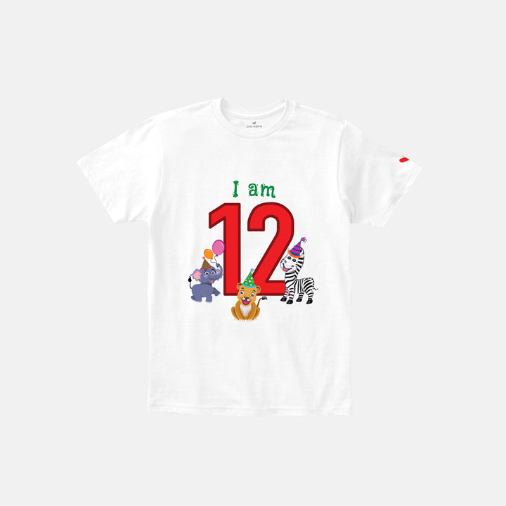 Birthday Celebration TShirts for Kids - Just Adore