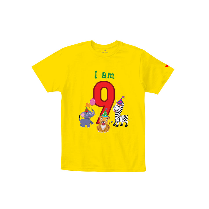 Birthday Celebration TShirts for Kids - Just Adore