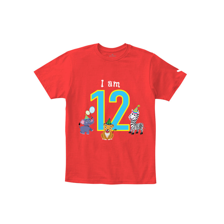 Birthday Celebration TShirts for Kids - Just Adore