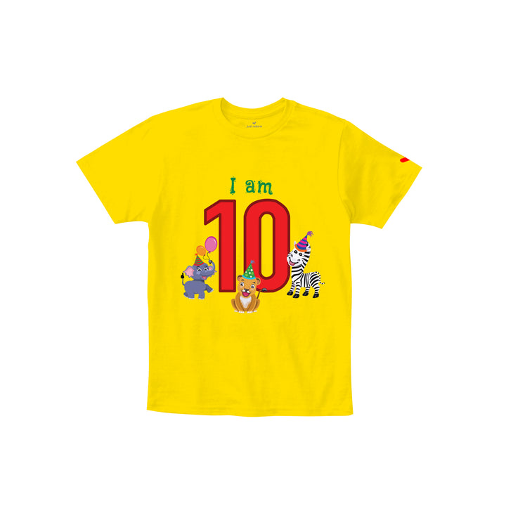 Birthday Celebration TShirts for Kids - Just Adore