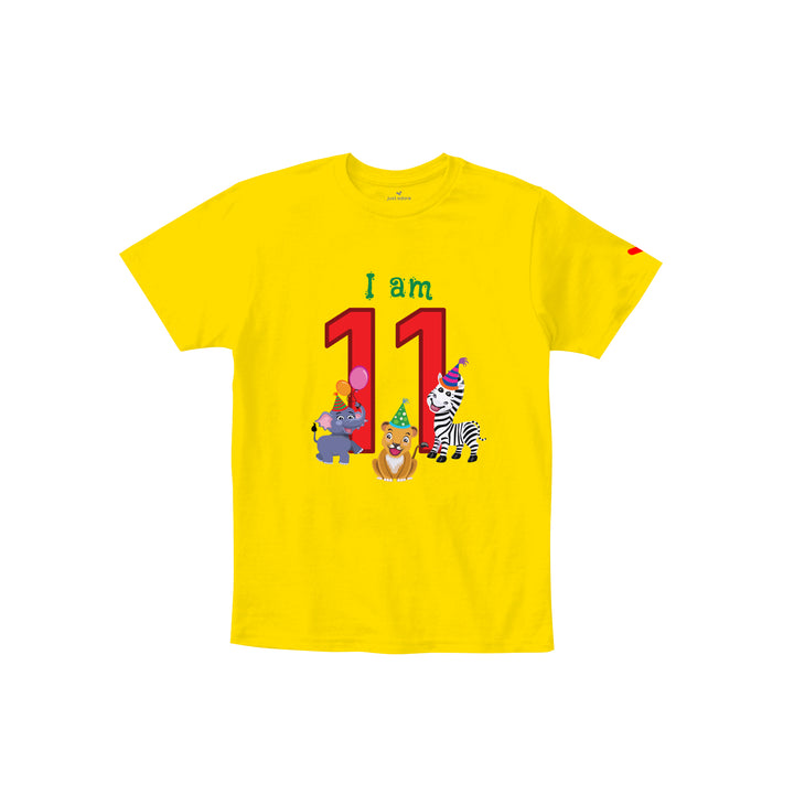 Birthday Celebration TShirts for Kids - Just Adore