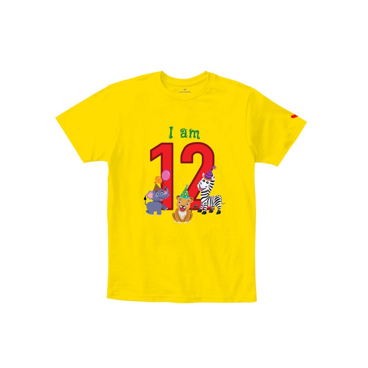 Birthday Celebration TShirts for Kids - Just Adore